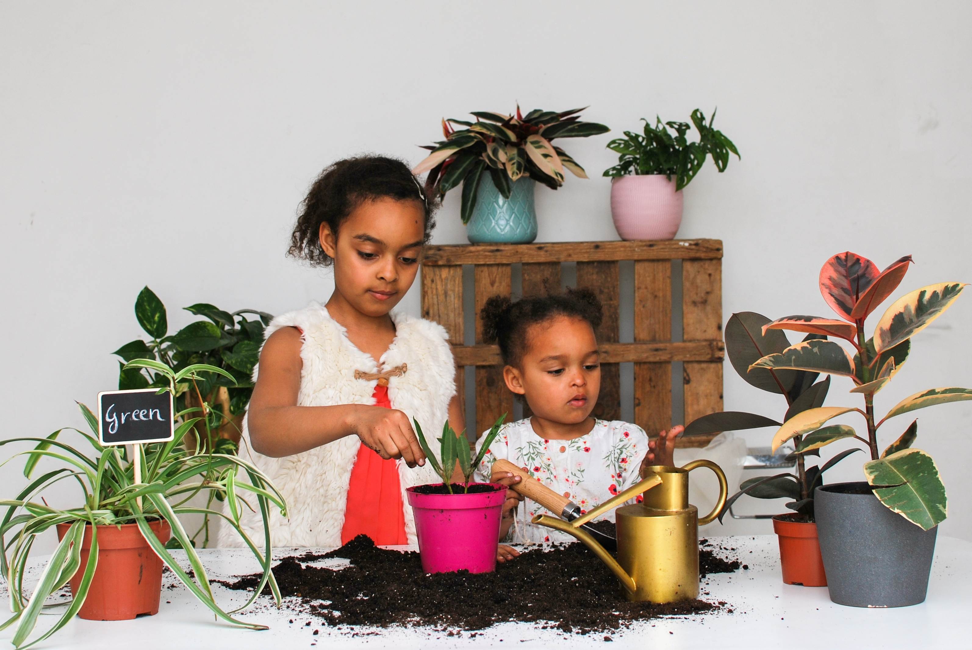 children planting indoor plants